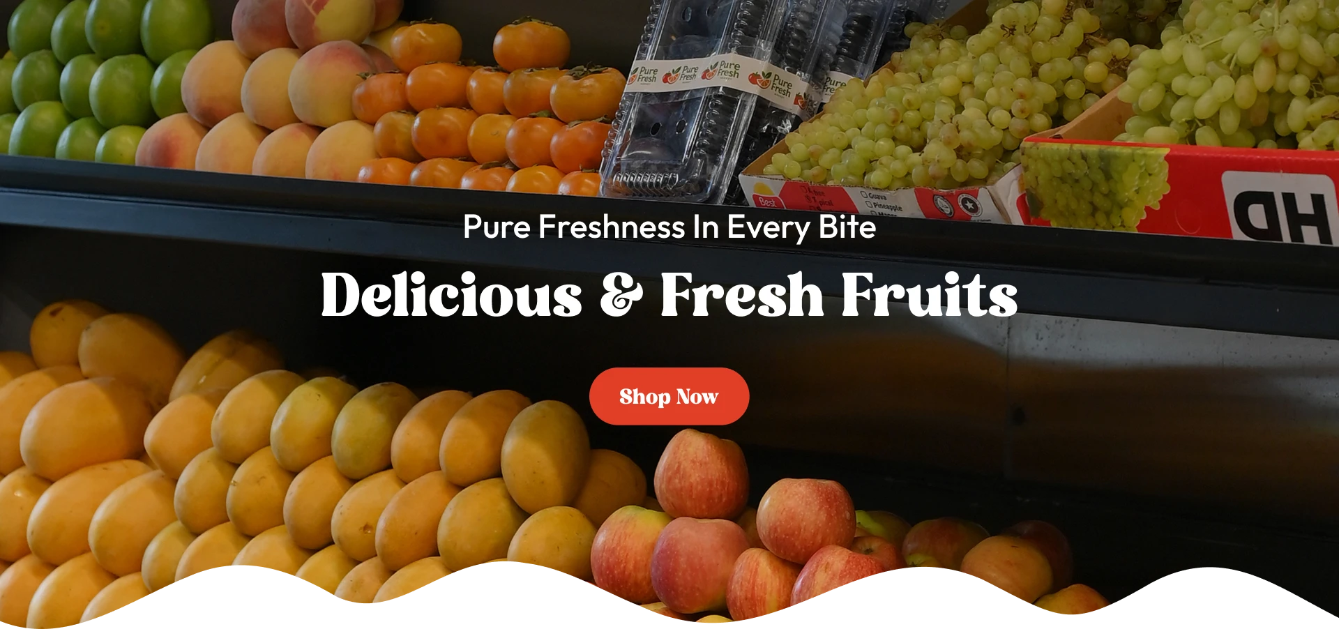 Delicious & Fresh Fruits