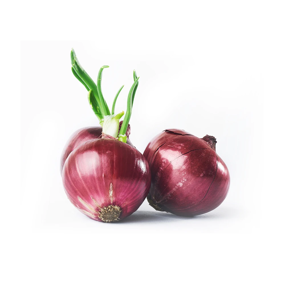 Onion Loose