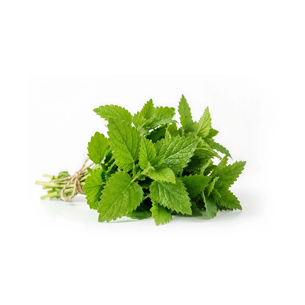 Podina (mint) 1kg